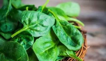 14 Proven Health Benefits Of Palak