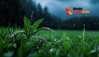 കേരളത്തില്‍ വീണ്ടും മഴ ശക്തമാകുന്നു ; നാളെ നാല് ജില്ലകളില്‍ യെല്ലോ അലേര്‍ട്ട്