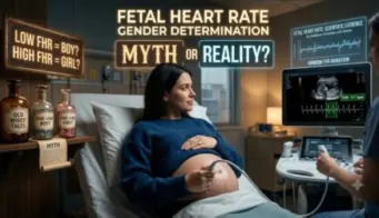 Fetal Heart Rate 158 BPM Boy Or Girl