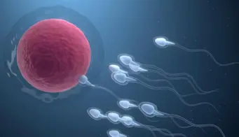 15 Home Remedies To Improve Sperm Count