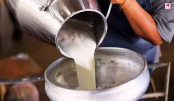 तुकाराम मुंढे 'इफेक्ट'मुळे सलग दूध संकलनात घट; तीन महिन्यांत सव्वा लाख लिटरची घट, भेसळखोरांनी घेतला धसका