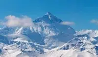 Himalayan Bill