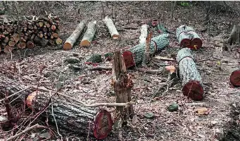 मुख्यमंत्री देवेंद्र फडणवीसांकडून वादग्रस्त 'टोरंट पॉवर' प्रकल्पाचा बचाव