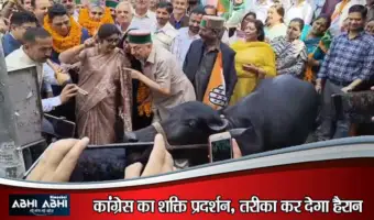'सरकार सुन नहीं रही': सोलन में कांग्रेस का रोष, केंद्र के खिलाफ भैंस के आगे बीन बजाकर किया अनोखा विरोध