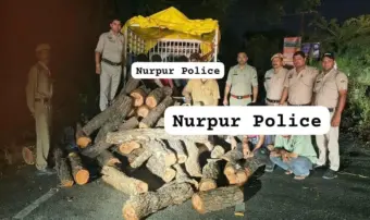Police Crackdown on Illegal Timber Smuggling in Nurpur