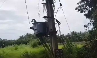 Komarolu: కొమరోలులో విద్యుత్ షాక్‌తో గేదె మృతి!