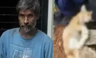 సీరియల్ క్యాట్ కిల్లర్ అరెస్టు... అతి క్రూరంగా పిల్లులను చంపడమే అతడి పని?
