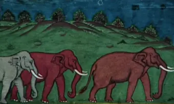 Assam's forgotten elephant knowledge offers new insights into human-elephant conflict: Study
