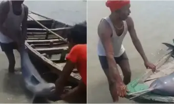 Viral News: డాల్ఫిన్ వేట.. మత్స్యకారుడు అరెస్ట్.!