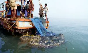 Mobile connectivity at sea helps fishers stay in touch with family
