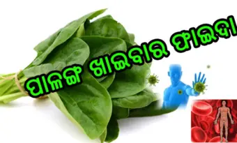 ପାଳଙ୍ଗ ଶାଗ ର ଫାଇଦା ଜାଣି ଆପଣ ବି ଖାଇବାକୁ ଲାଗିବେ, ଏବେ ହିଁ ପଢନ୍ତୁ