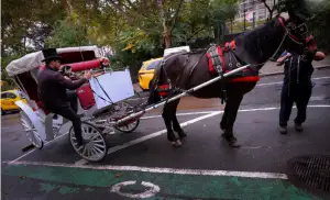 Central Park's horse-drawn carriages face ban
