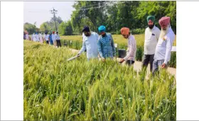 Over Rs 2.9 crore to be disbursed to 2,550 farmers as soil carbon payments: Govt