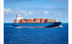 Exporters can now apply for certificates of origin directly from their business software: Govt