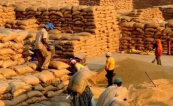 इस बार देश में धान खरीद में अपना ही रिकॉर्ड तोड़ेगी योगी सरकार