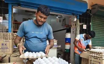 पुरवठा कमी झाल्याने अंड्याच्या किमतीत वाढ होते, पोल्ट्री फीडची किंमत वाढते