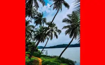 പരിശീലന കാലത്ത് 10,000 രൂപ സ്റ്റൈപൻഡ്; പഠിച്ച്‌ കഴിഞ്ഞാല്‍ മികച്ച ശമ്പളവും മറ്റ് ആനുകൂല്യങ്ങളും; തെങ്ങില്‍ കയറിയാല്‍ തലകറങ്ങാത്ത ചെറുപ്പക്കാര്‍ക്ക് ജോലി ഉറപ്പിച്ച്‌ ടോഡി ബോര്‍ഡ്