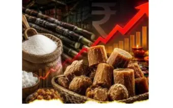 महागाईचा दणका सुरूच ! साखरेनंतर आता गुळाचाही भाव वाढला, एका किलोसाठी ''इतके'' पैसे मोजावे लागणार?