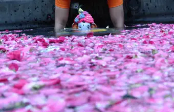 Photo - पुढच्या वर्षी लवकर या., मुंबईत दीड दिवसांच्या गणपती बाप्पांचे विसर्जन