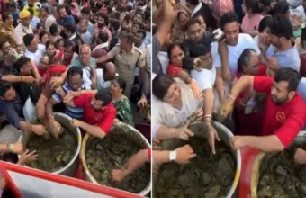 মেহেন্দির কারসাজি