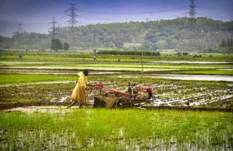 India Faces Weakest Monsoon In 17 Years As Rainfall Deficit Raises Crop, Food Price Concerns