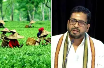 চা বাগানের ব্যাপক প্রসার ঘটাতে চলেছে পর্যটন মন্ত্রী শঙ্কর ঘোষ
