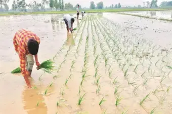Modern Farming Needs Modern Protection: A Farmer Speaks