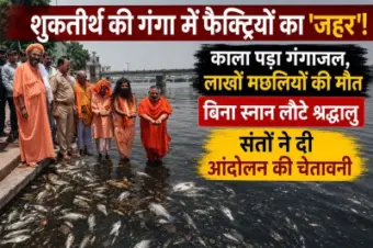 मुजफ्फरनगर: शुकतीर्थ की गंगा में घुला फैक्ट्रियों का 'जहर'?  लाखों मछलियों की मौत, काला पानी देख बिना स्नान लौटे श्रद्धालु, संतों ने दी आंदोलन की चेतावनी
