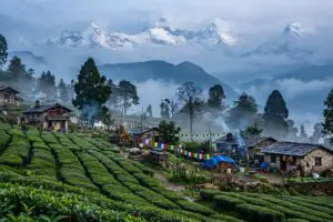 চৌকোরি ভ্রমণ: পঞ্চচূড়ার ছায়ায় উত্তরাখণ্ডের নীরব পাহাড়ি জনপদ।