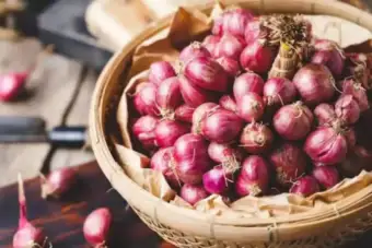 Sunday அதுவுமா இப்படியா? மீண்டும் எகிறியது வெங்காயம் விலை! ஒரு கிலோ டாப் ரேட்!