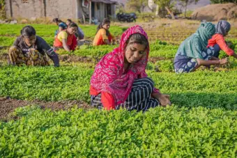 Now that India can see its farms, what next?