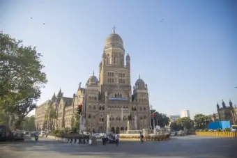 2025 मे मुंबई में रेबीज से कोई मौत नहीं