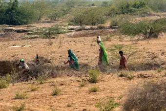 More than half of India under dry or drought conditions as monsoon withdrawal begins