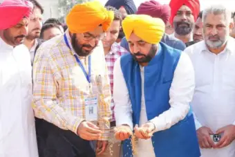 Bhagwant Mann Government Strengthens Paddy Procurement as 8.50 Lakh MT Arrives in Punjab Mandis