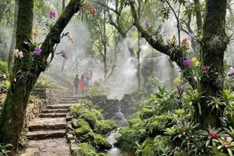 BENGALURU : ಲಾಲ್‌ಬಾಗ್‌ನಲ್ಲಿ ಮಂಜಿನ ಲೋಕ: ಸಿಂಗಾಪುರ ಮಾದರಿಯ ನೂತನ ಉದ್ಯಾನ