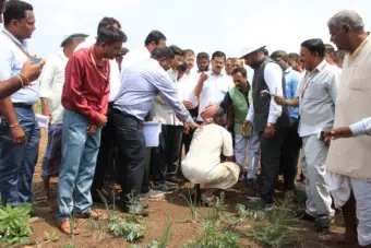 Farmers in Bagalkot seek proper relief as drought ravages crops