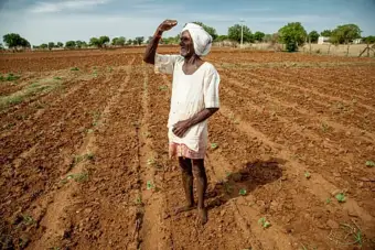 Maharashtra Bans Banks From Visiting Farmers' Homes for Loan Recovery Amid Drought