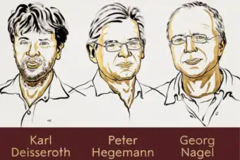 Nobel Prize in Medicine 2026 Awarded to Three Scientists for Discoveries That Help Decode the Brain