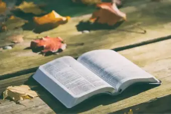 Word of the Day, October 12: 'Fuddy-duddy'