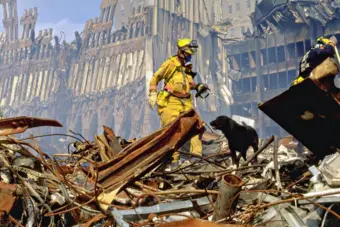 Aakar Patel | This 9/11, Let's Reflect On The US Hand In  W. Asia Chaos