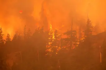 Donald Trump blames Canada for wildfire smoke - but global warming is loading the wildfire dice