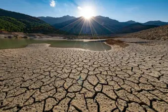 Drought becoming global, economy-wide risk; governments need to rethink 'crisis response' approach