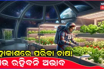 Space Station: ମହାକାଶରେ ପରିବା ଚାଷ, ମହାଶୂନ୍ୟରେ ଫଳୁଛି ପନିପରିବା...