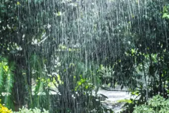 Kerala records 23% rainfall deficit this monsoon season: IMD