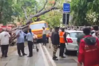 11-Year-Old Dies, Several Injured After Tree Falls on School Bus in Mumbai