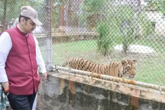 पुढील वर्षी आफ्रिकन सफारी सुरू करण्याचे नियोजन