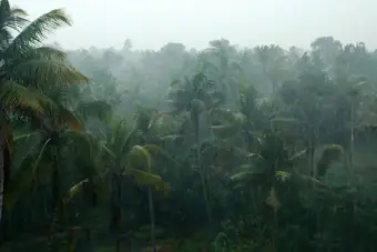Kerala rain warning: Yellow alert sounded as sky opens up across districts