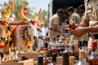 पोला उत्सव से पहले अवैध शराब पर शिकंजा, उत्पादन शुल्क विभाग ने गठित की विशेष टीमें