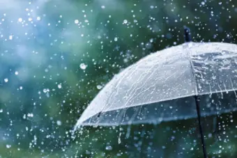 Punjab Weather- ਪੰਜਾਬ ਦੇ 14 ਜ਼ਿਲ੍ਹਿਆਂ ਵਿੱਚ ਅੱਜ ਮੀਂਹ ਪੈਣ ਦੀ ਸੰਭਾਵਨਾ