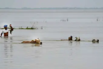 Assam floods worsen: Over 1.7 lakh affected, army deployed as rivers breach danger mark